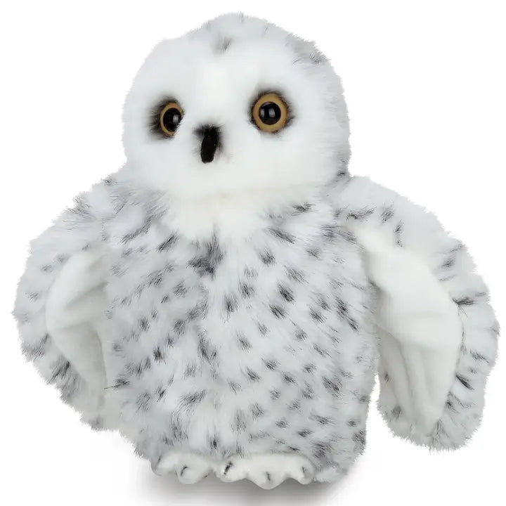 Drift The Snow Owl