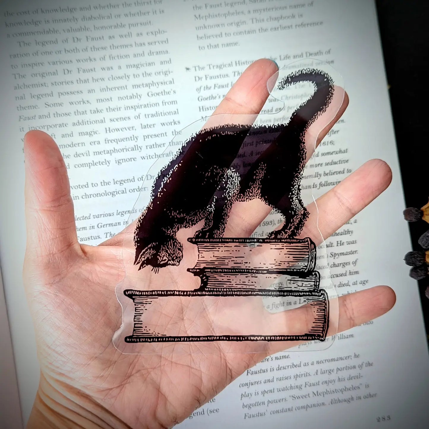 Black Cat on Books Bookmark