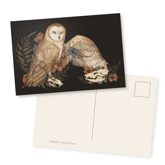 Barn Owl Postcard